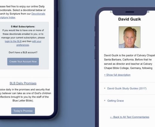 BLB mobile website mockup